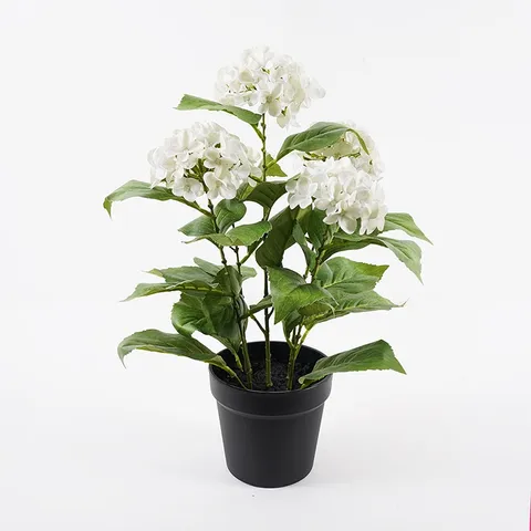 Planta decorativa cu ghiveci Hydrangea Verde 35x35x50 cm