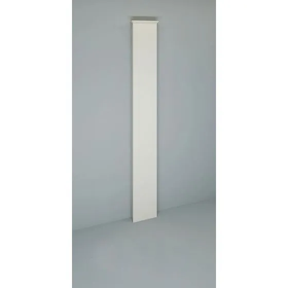 Corp pilastru exterior PT03.6A-45x3x200cm