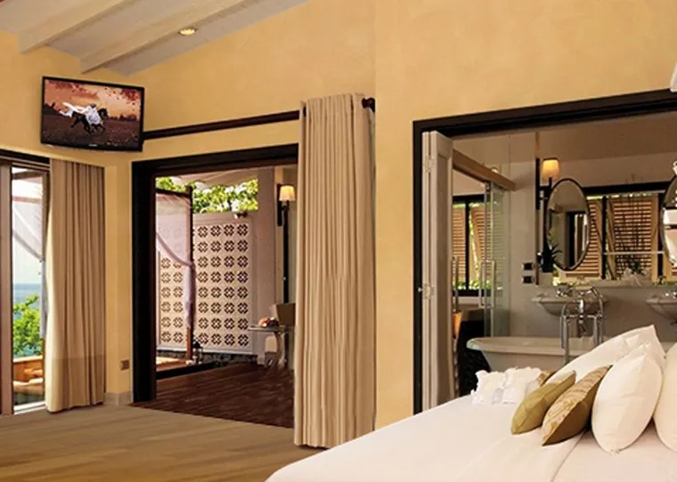 Vopsea decorativa pentru interior, efect VELIDOR FINE, finisaj mat