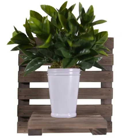 Raft de perete lemn,seria wood Homs 30 x 23 x 30 cm,700001