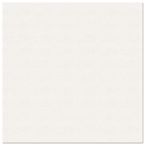 Gresie exterior / interior portelanata Frame 60 5 x 60 5 cm mata