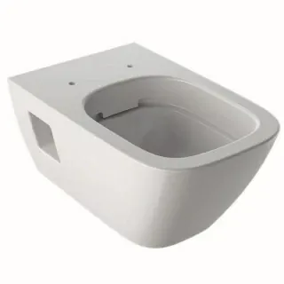 Vas WC suspendat Geberit Selnova Rimless Square 54x35xH33 cm