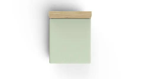Cearceaf de pat cu elastic Ranforce Super King (FR) (IT) (ES) (DE), L'essentiel Maison, Light Green, Verde deschis