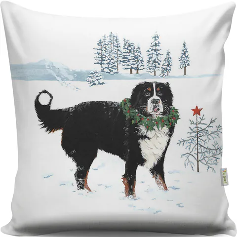 Perna, A12998, 43x43 cm, Multicolor