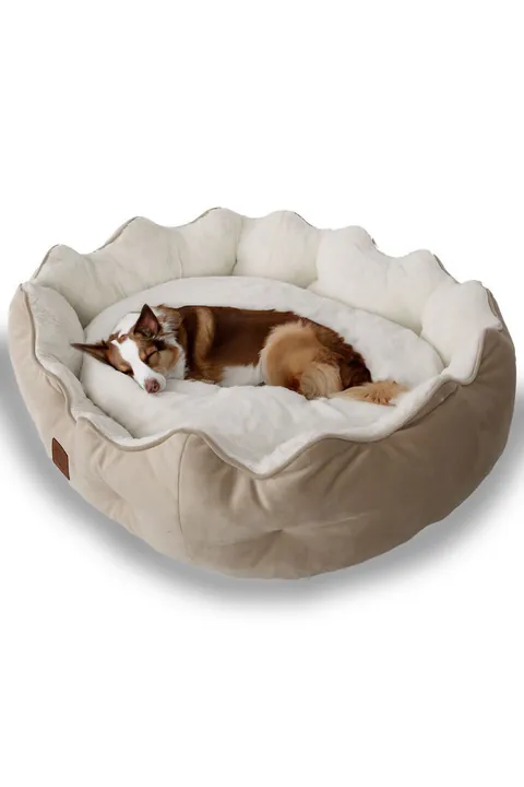 Pat pentru animale de companie, Paws & Whiskers, Elsa Dog S, Material exterior: 100% poliester, Crem
