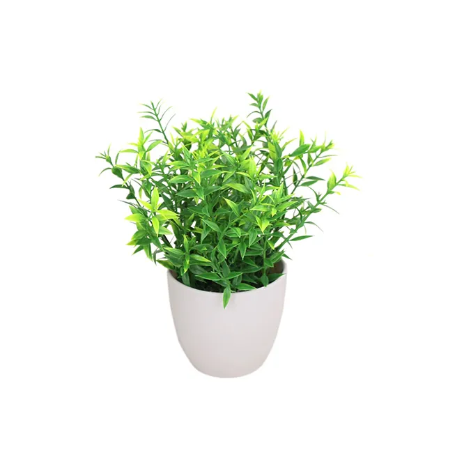 Ghiveci decor GREENNERY 10x24 cm, frunza ascutita