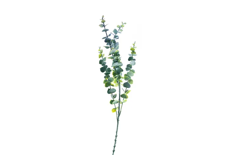 Buchet EUCALYPTUS, 79 cm, plastic