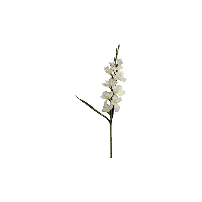 Floare GLADIOLUS, 100 cm