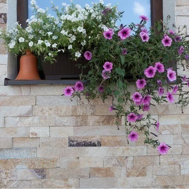 Ardezie Rhodos Natur, 5 cm x LL | Piatra Decorativa - Placari Verticale, Exterior-Interior