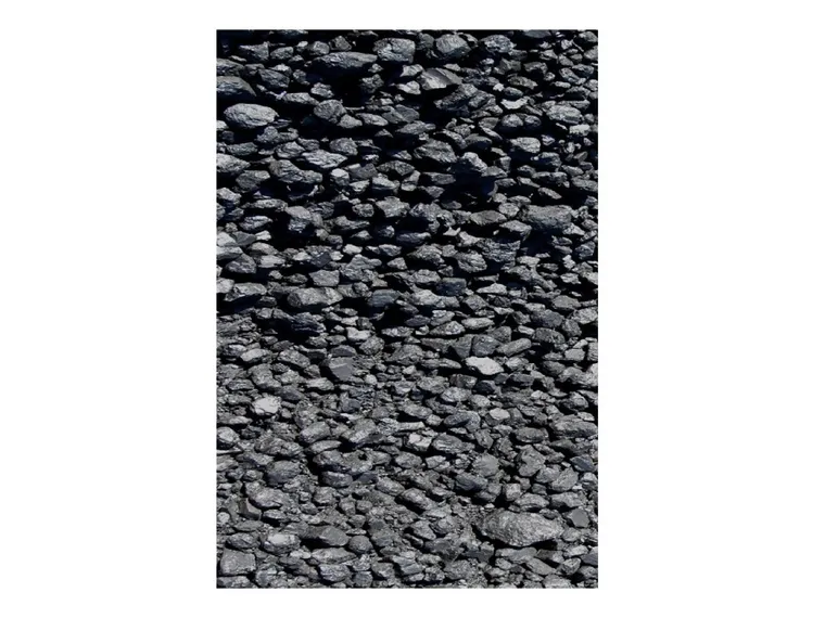 Filtru Carbune Woods 300/310 600 g