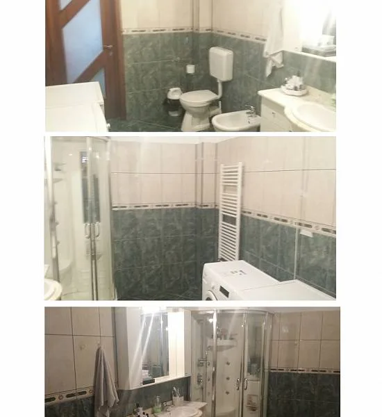 Vila Bucuresti zona Tei – Floreasca – Strada Calafat