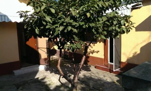vand casa in zona colentina-doamna ghica