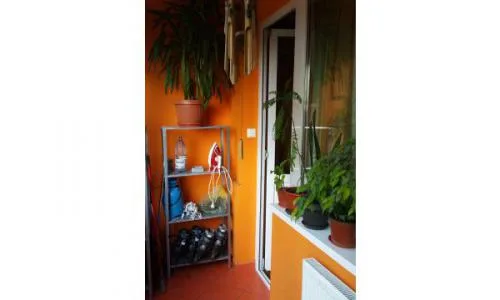 Vand apartament 3 camere Obor Teiul Doamnei