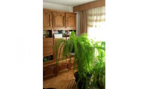 proprietar inchiriez apartament cu 4 camere in Oradea, zona Rogerius, str. Sovata.