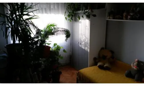 proprietar inchiriez apartament cu 4 camere in Oradea, zona Rogerius, str. Sovata.