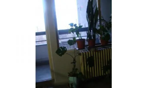 Apartament 2 camere, Drumul Taberei, langa scoala 197, zona verde