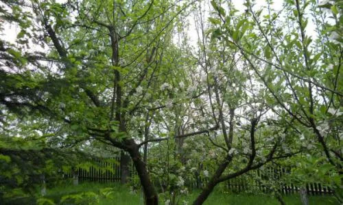 Cea mai frumoasa Casa de Vacanta este de Vanzare acum !!
