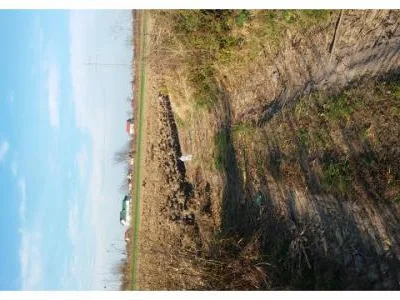 Teren intravilan 2.600mp ?n C?lug?reni (jud. Giurgiu), la 23km de Bucure?ti
