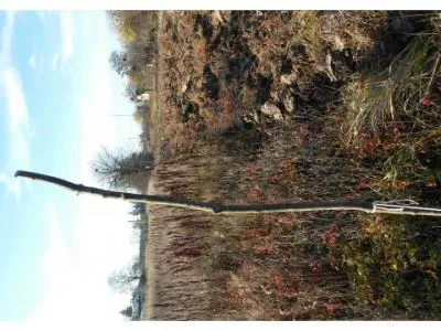 Teren intravilan 2.600mp ?n C?lug?reni (jud. Giurgiu), la 23km de Bucure?ti