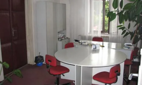 Vanzare Imobil Comercial