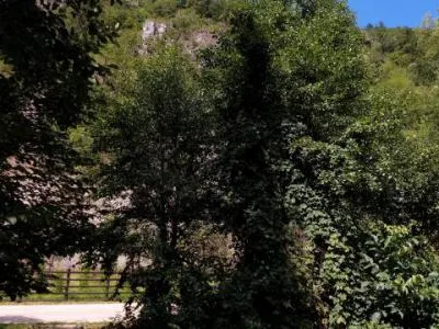 Teren intravilan in zona de vis, Govajdia, Poiana Ruscai