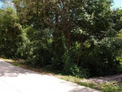 Teren intravilan in zona de vis, Govajdia, Poiana Ruscai