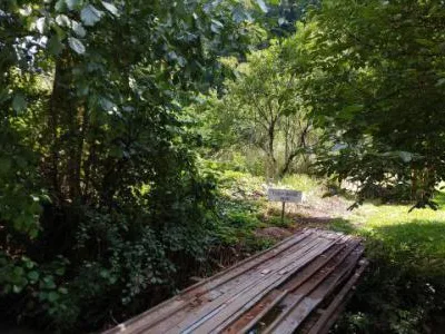 Teren intravilan in zona de vis, Govajdia, Poiana Ruscai