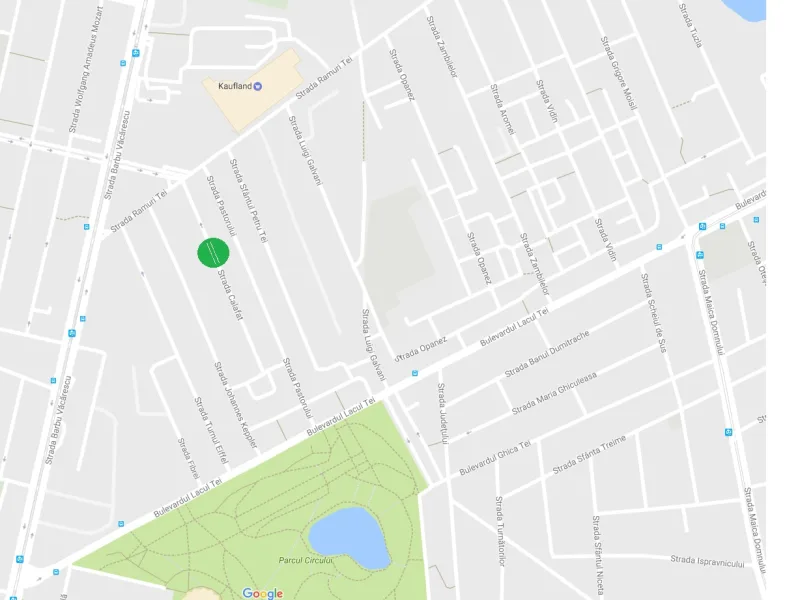 Vila Bucuresti zona Tei – Floreasca – Strada Calafat