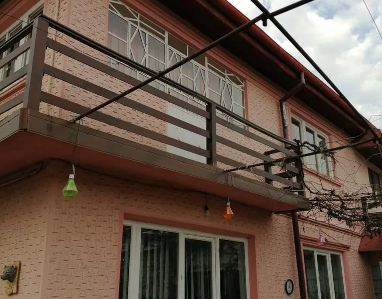 Direct Proprietar ofer vila spre vânzare