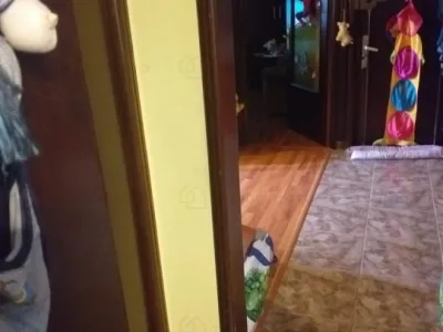 apartament 2 camere aviatie