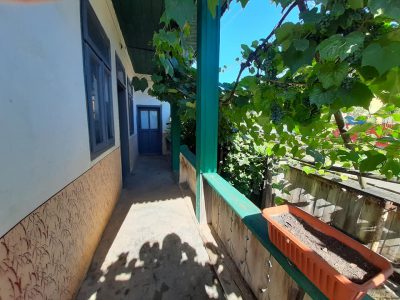 Vand casa batraneasca+teren, jud Vrancea