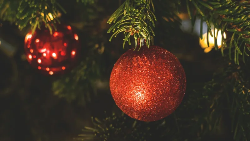 6.1 Cum poti selecta bradul artificial astfel incat sa fii sigur ca este cel mai bun brad de craciun 1