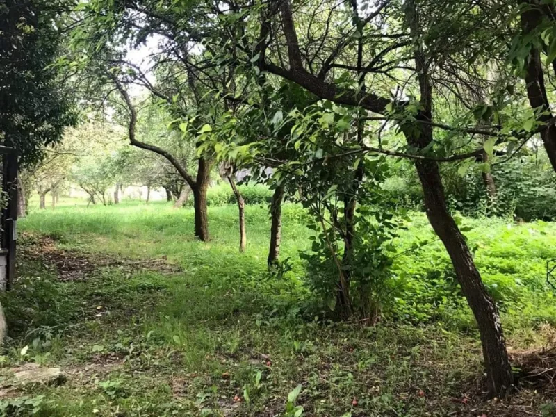 Teren intravilan, Poienarii de Muscel, Arges