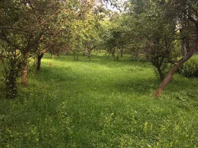 Teren intravilan, Poienarii de Muscel, Arges