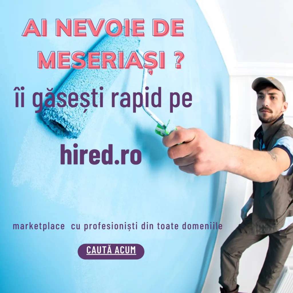 profesionist meserias apartament oferteproprietari