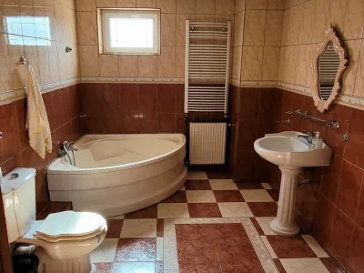 VILA SPATIOASA DE INCHIRIAT / VANZARE SECTOR 2