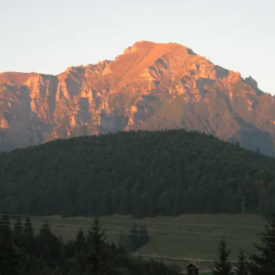 Doru