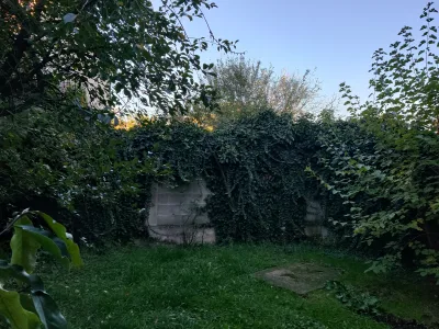 Casă spațioasă de închiriat în Baia Mare