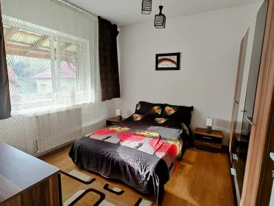 Casă spațioasă de închiriat în Baia Mare