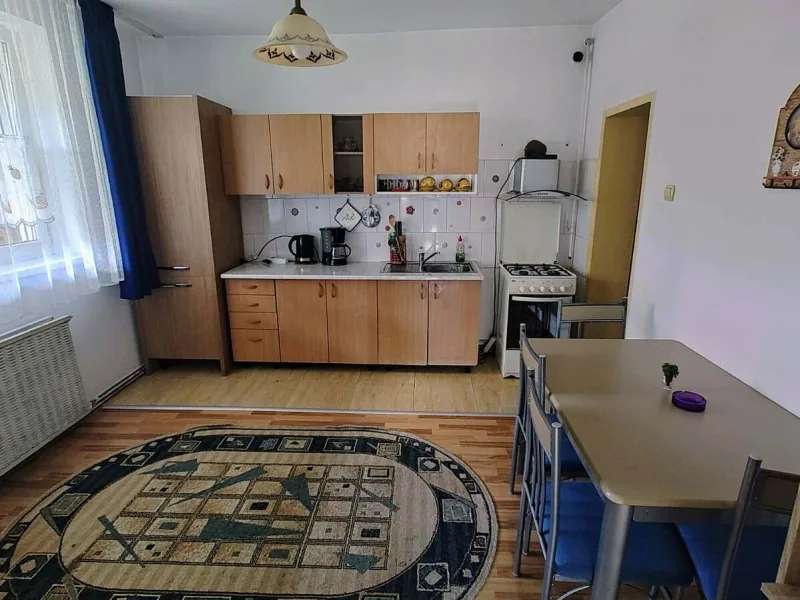 Casă spațioasă de închiriat în Baia Mare