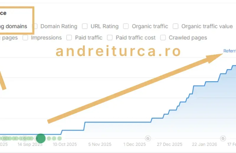 Andrei Turca - Dezvoltare Site-uri WordPress și Servicii SEO