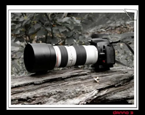 Fotograf Profesionist