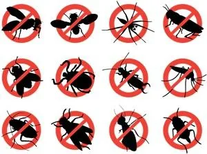 Dezinsectie - Dezinfectie si Deratizare - Bucuresti