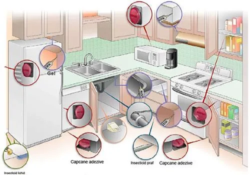 Dezinsectie - Dezinfectie si Deratizare - Bucuresti