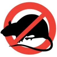 Dezinsectie - Dezinfectie si Deratizare - Bucuresti