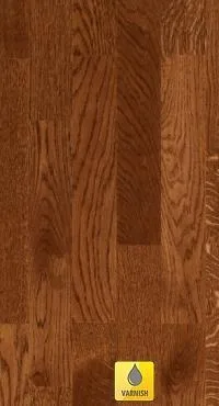 Profesionisti in parchet si pardoseli din lemn Bucuresti