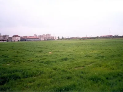 Romaltyn Mining
