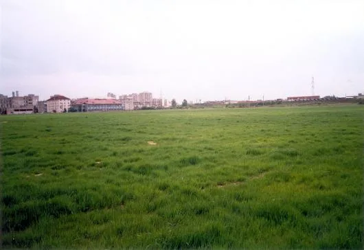 Romaltyn Mining
