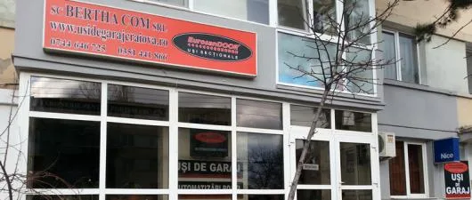 Usi de garaj - comercializare - montaj si service - Craiova