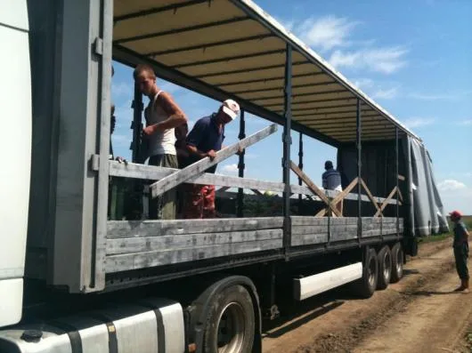 Casa de expeditii si transport marfa - Timisoara